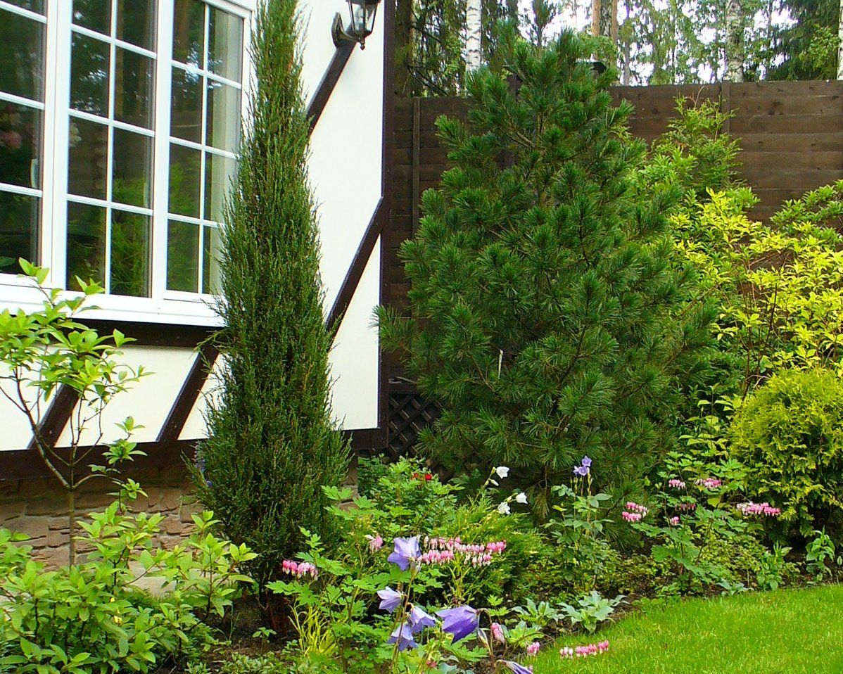 Проект Жуковка